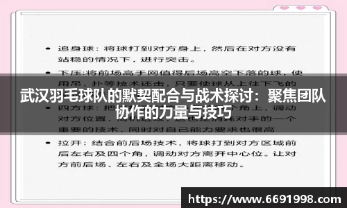 多宝电竞